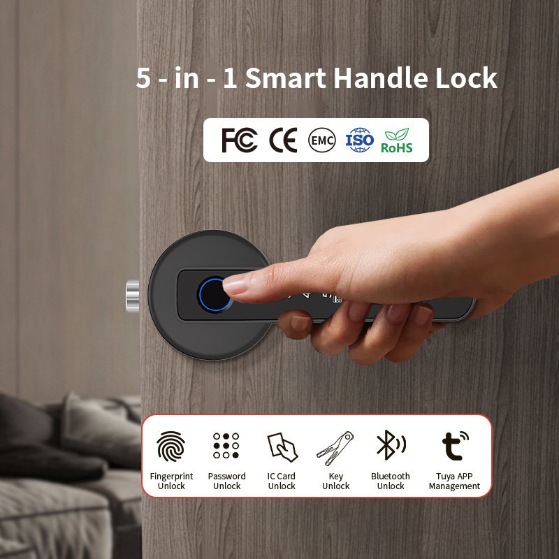 Graffiti Bluetooth Smart Door Lock For Home And Office, With Fingerprint Recognition