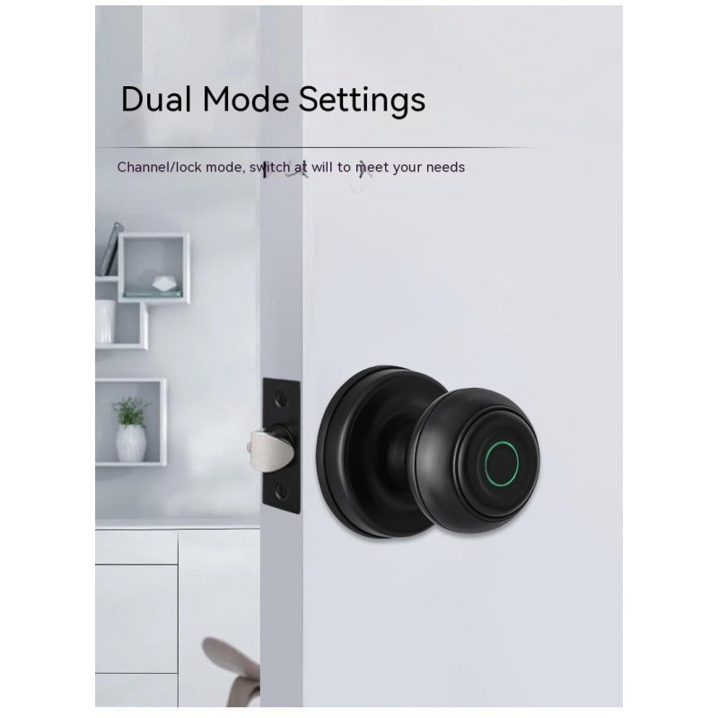 Security Door Smart Fingerprint Lock