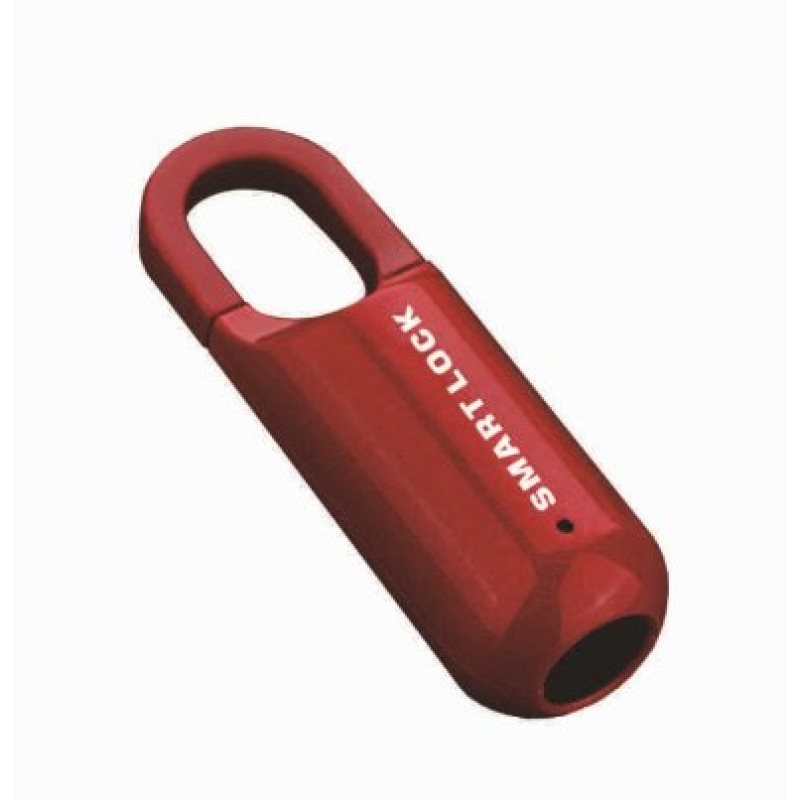 Smart Padlock Fingerprint Cabinet Lock Cabinet