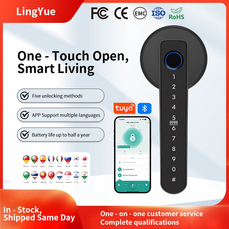 Graffiti Bluetooth Smart Door Lock For Home And Office, With Fingerprint Recognition